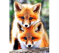 VAIIEYO 5D Diamond Painting Fox, Diamond Art Animal, Paint by Numbers Full Drill Round Rhinestone Craft Canvas for Home Wall Decor 30x40 cm