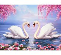 VAIIEYO 5D Diamond Painting Kits for Adults Swan, Paint with Diamonds Art Bird Animal, Paint by Numbers Full Drill Round Rhinestone Craft Canvas for Home Wall Decor 30x40 cm