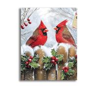 VAIIEYO 5D DIY Christmas Diamond Art Kits Adults, Cardinal Bird Diamond Painting, Paint with Round Full Drill Crystal Rhinestone Diamonds Gem Art for Home Wall Decoration Gift 12X16Inch-57