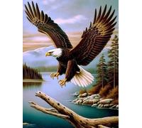 VAIIEYO 5D DIY Diamond Painting Eagle, Diamond Art Kits Adults Animal, Paint by Numbers Full Drill Round Rhinestone Craft Canvas for Home Wall Decor-30x40 cm-22