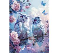 VAIIEYO 5D DIY Owl Diamond Art Kits Adults, Bird Animal Diamond Painting, Paint with Round Full Drill Crystal Rhinestone Diamonds Gem Art for Home Wall Decoration Gift 12X16Inch-12