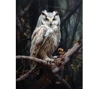 VAIIEYO Diamond Art Kits for Adults Owl, 5D Diamond Art Kit Bird Animal, DIY Paint with Round Full Drill Diamonds Gem Art for Home Wall Decoration Gift-12X16 Inch-532