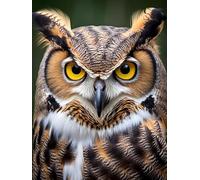 VAIIEYO Diamond Art Kits for Adults Owl, 5D Diamond Art Kit Bird Animal, DIY Paint with Round Full Drill Diamonds Gem Art for Home Wall Decoration Gift-16X20 Inch-433