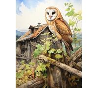 VAIIEYO Diamond Art Kits for Adults Owl, 5D Diamond Art Kit Bird Animal, DIY Paint with Round Full Drill Diamonds Gem Art for Home Wall Decoration Gift-16X20 Inch-501