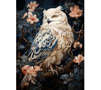 VAIIEYO Diamond Art Kits for Adults Owl, 5D Diamond Art Kit Bird Animal, DIY Paint with Round Full Drill Diamonds Gem Art for Home Wall Decoration Gift-12X16 Inch-438