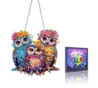 VAIIEYO Owl Diamond Painting Hanging Ornament, Window Hanging Kit with Chain, Special Shaped Crystal Pendant Bird Diamond Art Craft for Gift Home Wall Front Door Garden Decoration