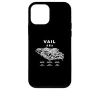 Vail Ski Snowboard Skiing Colorado Skier Case for iPhone 12 mini