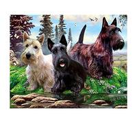 VAKUUM 5D Diamond Embroidery Scottish Terrier DIY Diamond Painting Cross Stitch Dog Full Round Mosaic Rhinestones New Year Gift 40 * 40CMG205D
