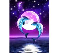 VAKUUM Diamant Painting Kinder 5D Diamond Painting Kits_Delfin Diamond Painting_DIY handgefertigt Full Drill Diamant Stickerei Perfekte Geschenke für Home Dekoration30*40CM