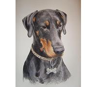 VAKUUM Diamant Painting Kinder 5D Diamond Painting Kits, Dobermann Hund DIY Malen Nach Zahlen Erwachsene Diamant Malerei Geburtstagsgeschenke50*60CM
