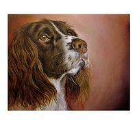 VAKUUM Diamond Painting 5D DIY Full Drill Rhinestone Diamond Art Kits Springer Spaniel Dog Restaurant Wall Decoration30*40CMG5D