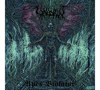 Apex Violator – Vinyl – Avantgarde