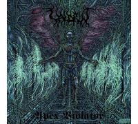 Apex Violator – Vinyl – Avantgarde