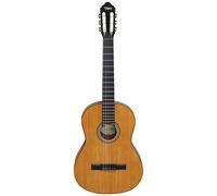 Valencia Guitar 4/4 Gloss Finish VC264