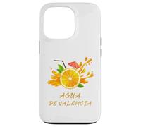Valencia, Valencia, Spain, holidays, oranges Case for iPhone 13 Pro