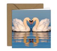 Valentine Card - Two Swans in the Water | Folding Card (15 x 15 cm) - with Kraft Envelope - Blank Inside