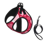 Valentine Day Print Small Dog Harness with Leash Set, No Escape Easy Walk Puppy Harnesses for Training Walking