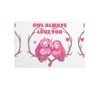 Valentine’s Day, Owl, Love 12x18 Inch Oil-Resistant Heat-Insulating Placemat Set – 6-Pack For Home, Hotel & Banquet Table Decor – Durable Polyester Fabric With Custom Diy Print Design