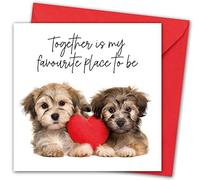 Valentines Card. "Cute Dogs" Design. Eco-Friendly. 4pp 150x150mm Size. Valentine's Card with Red Envelope. Verse Inside. Printed and Packed in UK.