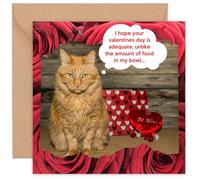 Valentines Card from the Cat - Valentine Cards from Kitten Kitty Fur Baby Pet Lovers - For Husband Wife Boyfriend Girlfriend Partner Kids 14cm
