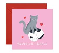 Valentines Day Card - Anniversary Card For Him - You're All I Knead Cats - Pun - Cute Wedding Anniversary For Husband Wife - Gift For Boyfriend Girlfriend - Comes With Stickers