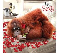 Valentines Day Card 'Hey Sexy' Orangutan Goggly 3D Eyes