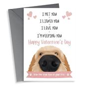 Valentine's Day Card - Labrador/Cockapoo - From The Dog - I Met You, I Licked You, I Love You, I'm Keeping You