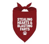 Valentine's Day Dog Bandana, Stealing Hearts and Blasting Farts Quote Pet Bandana, Valentine's Day Pet Photoshoot Accessories, Adjustable Comfortable Triangle Dog Scarf