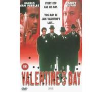 Valentines Day [DVD] (1998)