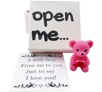 Valentine's Day Gifts Mini Plush Bear in Box, Handmade Positive Small Plush Pocket Bear Hug in A Box with Encouragement Little Card Inspirational Support Toy Keepsake for Lovers Family Friend (Rose)