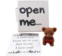 Valentine's Day Gifts Mini Plush Bear in Box, Handmade Positive Small Plush Pocket Bear Hug in A Box with Encouragement Little Card Inspirational Support Toy Keepsake for Lovers Family Friend (Brown)
