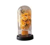 Valentine's Day Holder Christmas Flowers Valentine's Day Rose Present for Women A Flower of Roses Stored Forever On A Plastic Or Glass Dome is Birthday Present (D,21 5x11cm)
