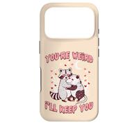 Valentines Day Raccoon Possum Funny Youre Weird Ill Keep You Case for iPhone 17 Pro