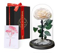 Valentines Day Rose Set Gift for Women | Eternal Forever Rose in Glass Dome | Flower Preserved for 5 Years | Handcrafted | Beauty and the Beast Gift for Her Wife Girlfriend | Anniversary, Mother's Day