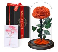 Valentines Day Rose Set Gift for Women | Eternal Forever Rose in Glass Dome | Flower Preserved for 5 Years | Handcrafted | Beauty and the Beast Gift for Her Wife Girlfriend | Anniversary, Mother's Day