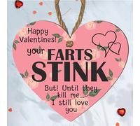 Valentine's Day Wooden Heart Plaque - Fun Novelty Gift with Twine for Hanging - Humorous Message - Modern Rustic Decor for Any Occasion - Gifts for Him, Her, Anniversary