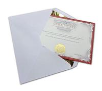 Valentines Gift Certificate - Luxury Card | Gold Lined Envelope | Gold Love Seal | Certificate of Recognition Gift for Wife, Husband, Girlfriend, Boyfriend, Romantic Love Gift for him/her