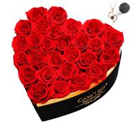 Valentines Roses Gifts for Her, Forever Real Roses 27 Pcs, Preserved Flowers in Heart Shape Box with Necklace, Flower for Mothers Day Anniversary for Mom Wife Girlfriend, Red