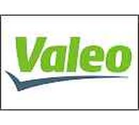 VALEO 300821 Carbon Brush, alternator