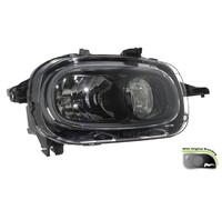 VALEO 450401 Headlight for CITRO?N
