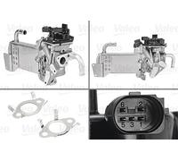 VALEO 700435 EGR Module for VW