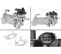 VALEO 700436 EGR Module for AUDI,SEAT