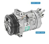 Valeo Air Conditioning Compressor 12V Voltage With Pag Compressor Oil For DATSUN