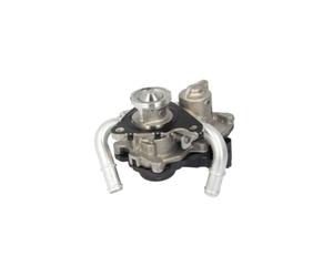 Valeo EGR Valve 700454