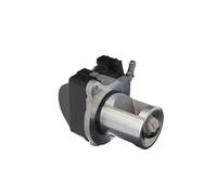 Valeo EGR Valve 703254
