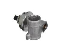 Valeo EGR Valve 703256