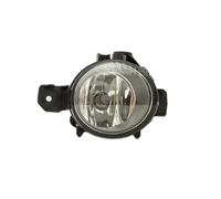 Right Fog Light Fits BMW 1 Series OE 63176924656 Valeo 88894
