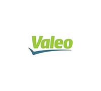 Valeo Sensor, Coolant Temperature 700110