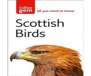 Valerie Thom Scottish Birds Paperback Book Valerie Thom Multicolor