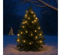 Outdoor String Lights - 7.5m with 25 LED Bulbs Valiant White One Size